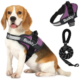 Pet Clothing Dog Couple Chest Strap Rope (Option: Purple-XL)