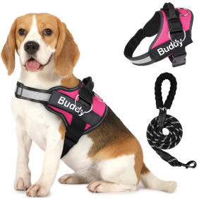 Pet Clothing Dog Couple Chest Strap Rope (Option: Pink-L)